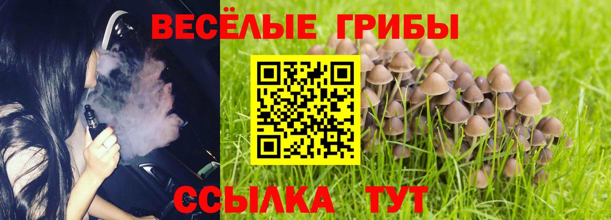 цены   Псилоцибиновые грибы мицелий  Вход с VPN  Дмитров  Галлюциногенные грибы мухоморы 